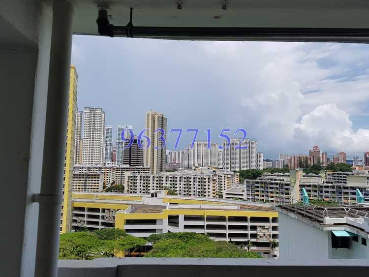 Blk 78 Indus Road (Bukit Merah), HDB 3 Rooms #173028002